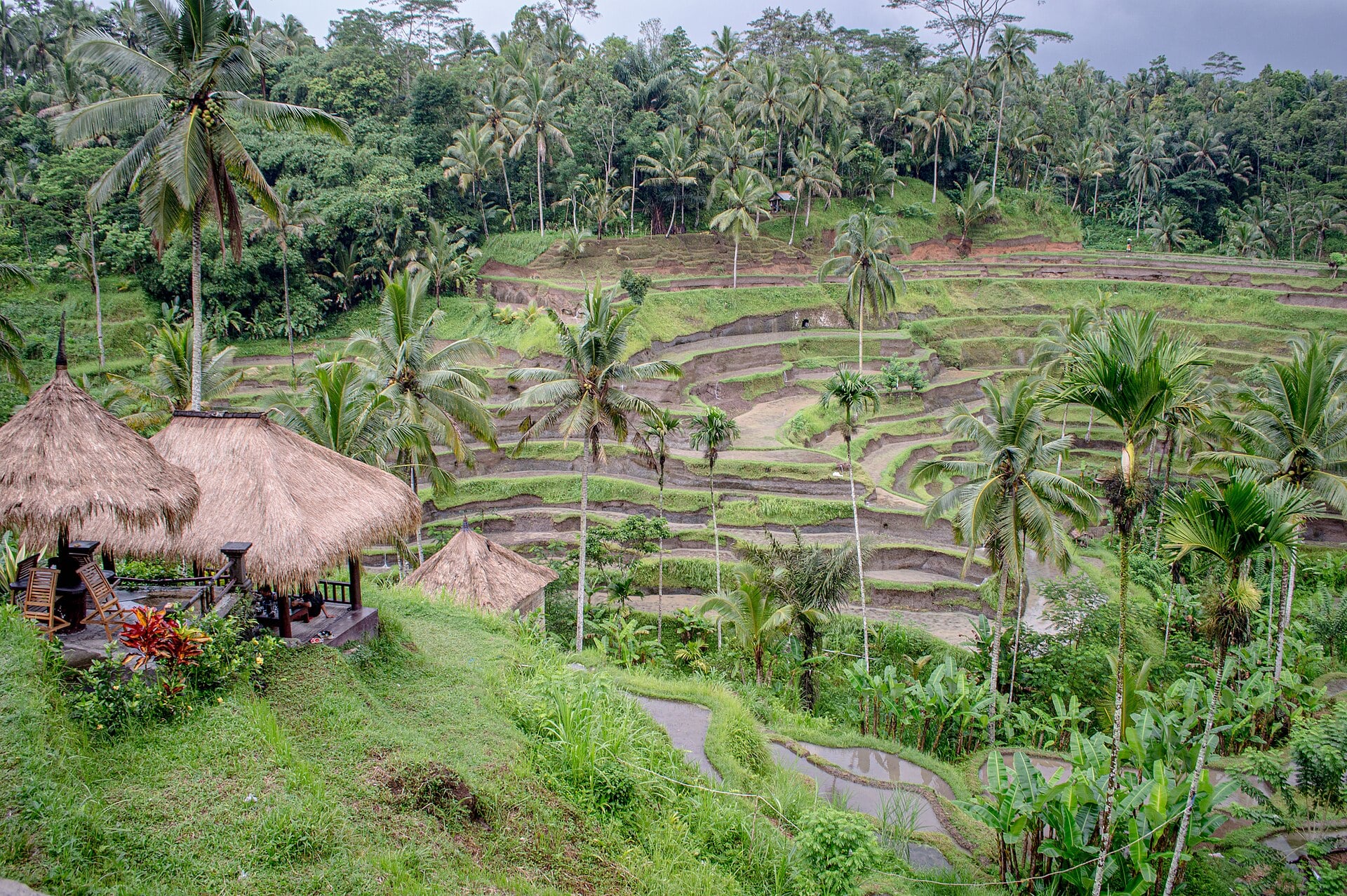 BALI KEŞİF PAKETİ 7 Gece 8 Gün — fotoğraf 1